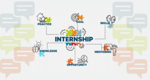 internship training internship training
