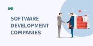 Custom software development
