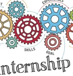 Best software internship company in Tirunelveli
