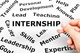 Best web development internships Tirunelveli