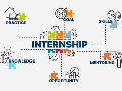 Internship for Final Year College Students in Tirunelveli