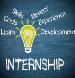 Internship in web development Tirunelveli