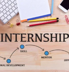 Web Application Internship in Tirunelveli