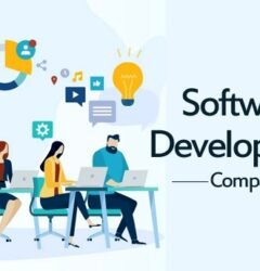 Best Web Development in Tirunelveli