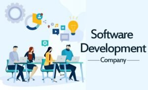 Best Web Development in Tirunelveli