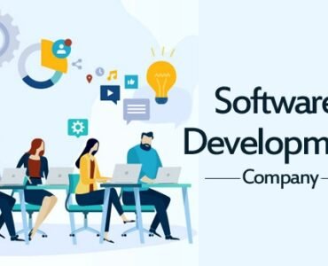 Best Web Development in Tirunelveli