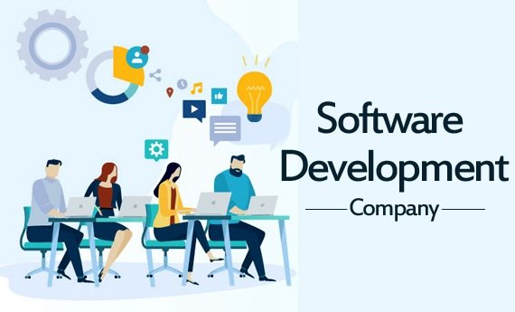 Best Web Development in Tirunelveli