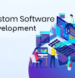 Custom Software Development in Tirunelveli