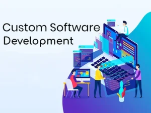 Custom Software Development in Tirunelveli