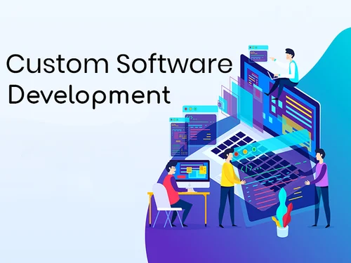 Custom Software Development in Tirunelveli