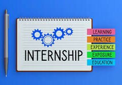 Software developer internship Tirunelveli