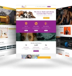 Website designer Tirunelveli