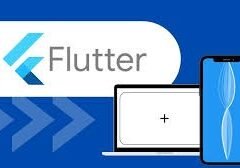 Custom Flutter App Development Company in Tirunelveli