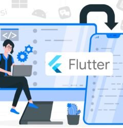 Flutter application company Tirunelveli