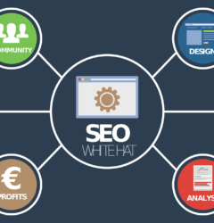 SEO CONSULTANT TIRUNELVELI
