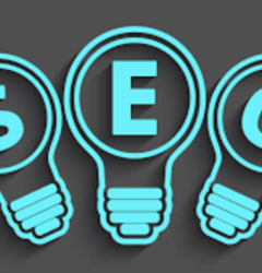 ORGANIC SEO SERVICE TIRUNELVELI